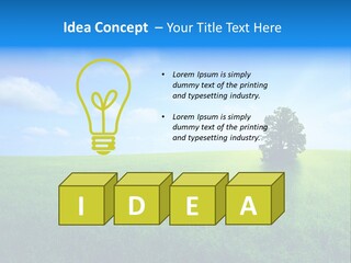 A Green Field With A Tree In The Middle Of It PowerPoint Template