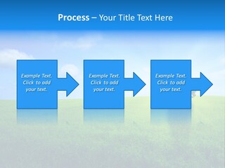 A Green Field With A Tree In The Middle Of It PowerPoint Template