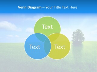 A Green Field With A Tree In The Middle Of It PowerPoint Template