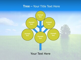 A Green Field With A Tree In The Middle Of It PowerPoint Template