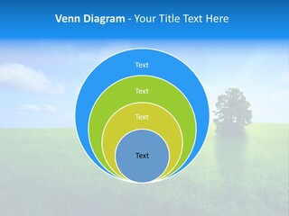 A Green Field With A Tree In The Middle Of It PowerPoint Template