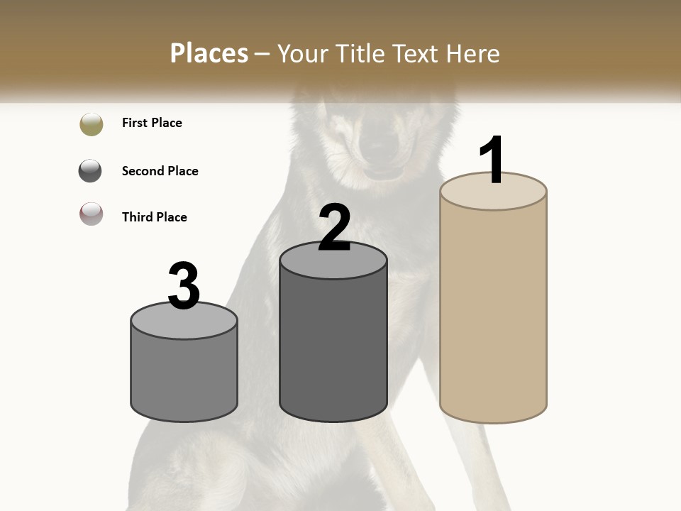 A Dog Sitting Down With A White Background PowerPoint Template