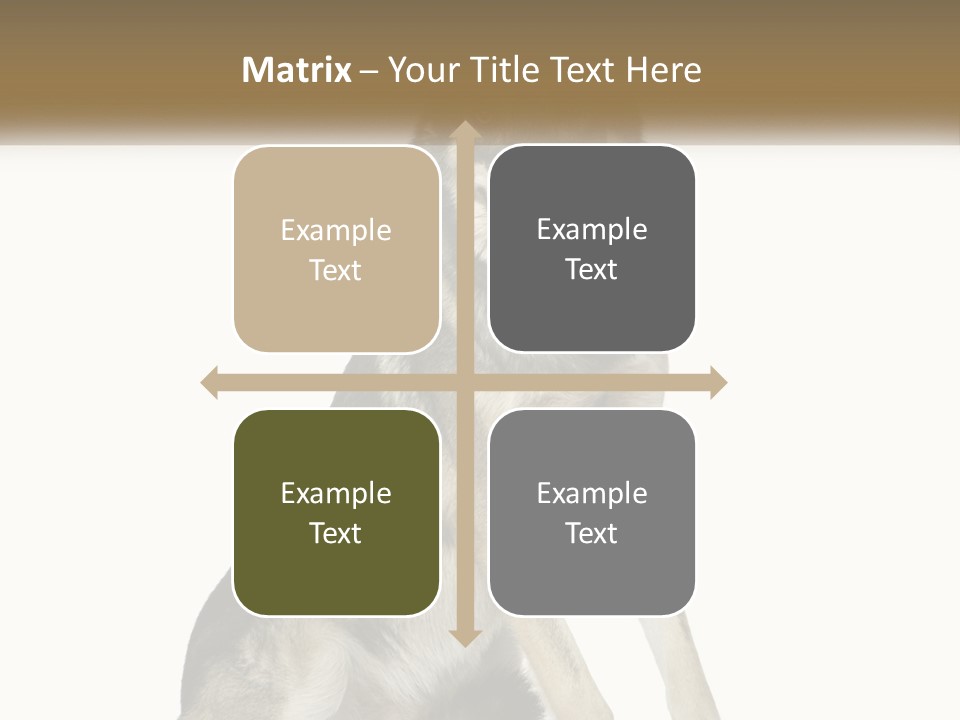 A Dog Sitting Down With A White Background PowerPoint Template