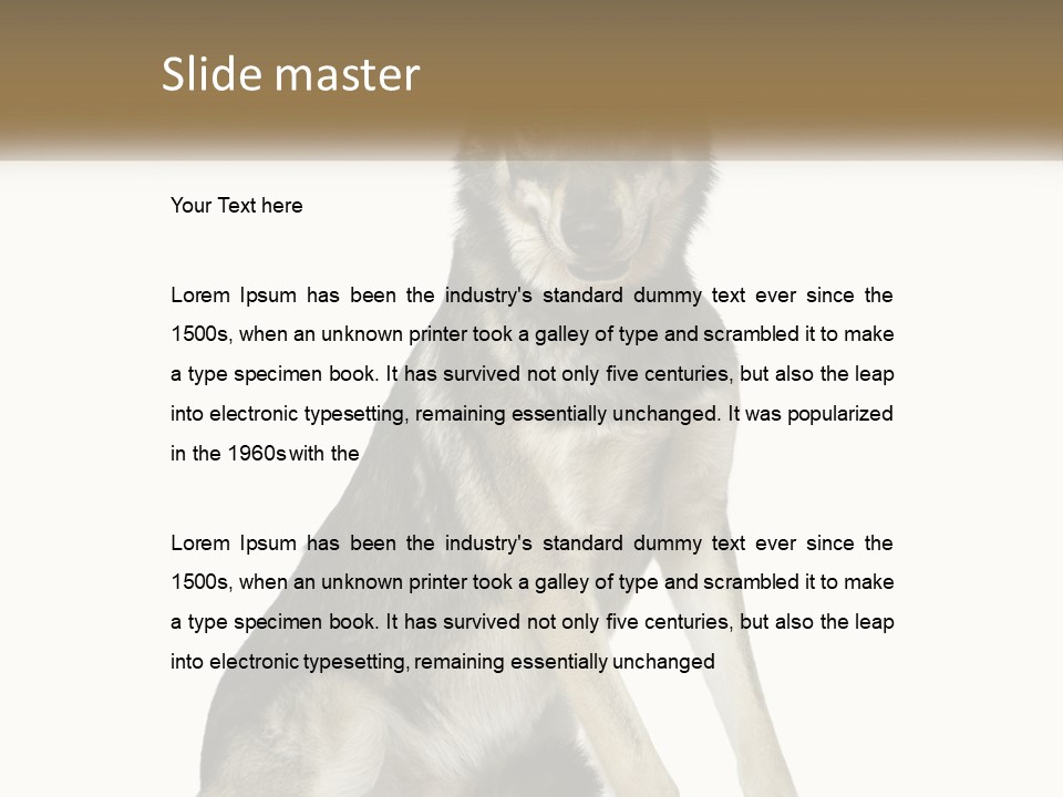 A Dog Sitting Down With A White Background PowerPoint Template