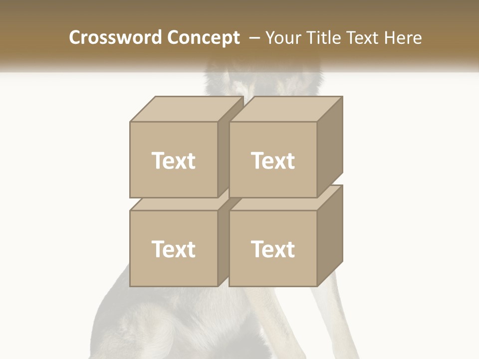 A Dog Sitting Down With A White Background PowerPoint Template