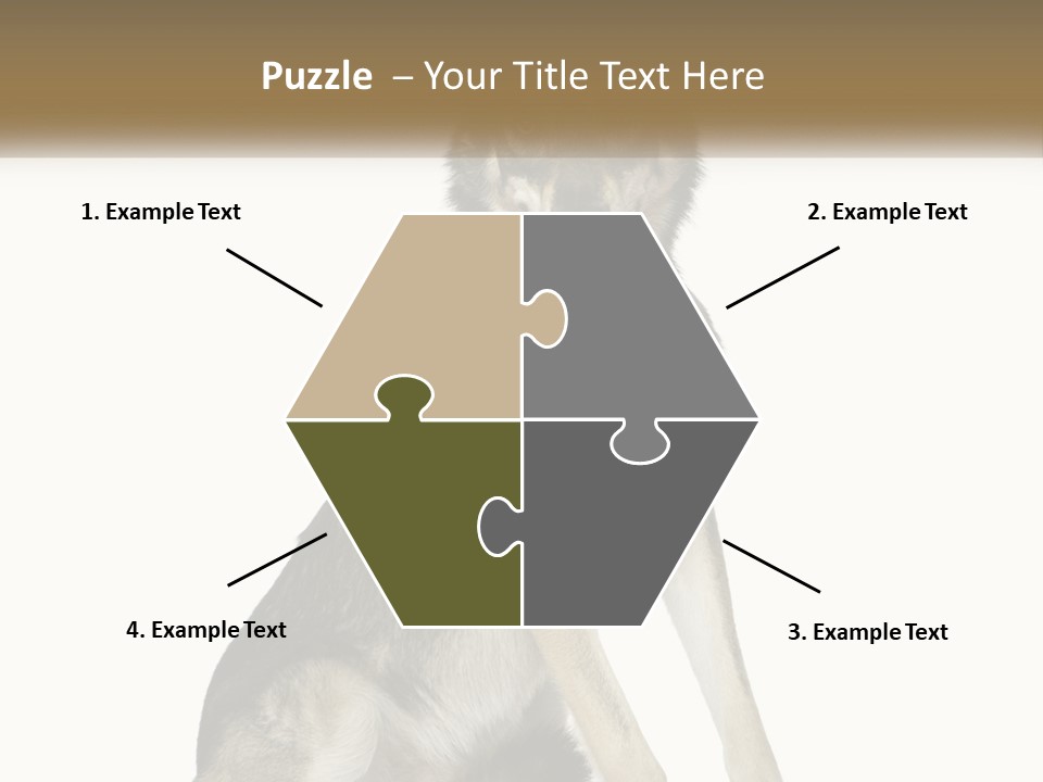 A Dog Sitting Down With A White Background PowerPoint Template