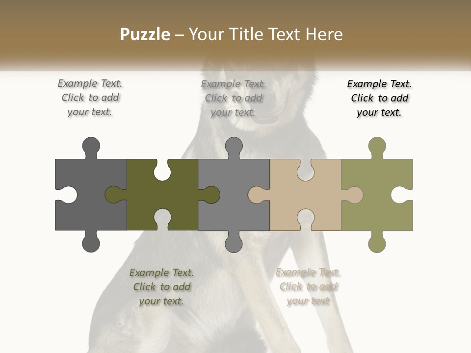 A Dog Sitting Down With A White Background PowerPoint Template