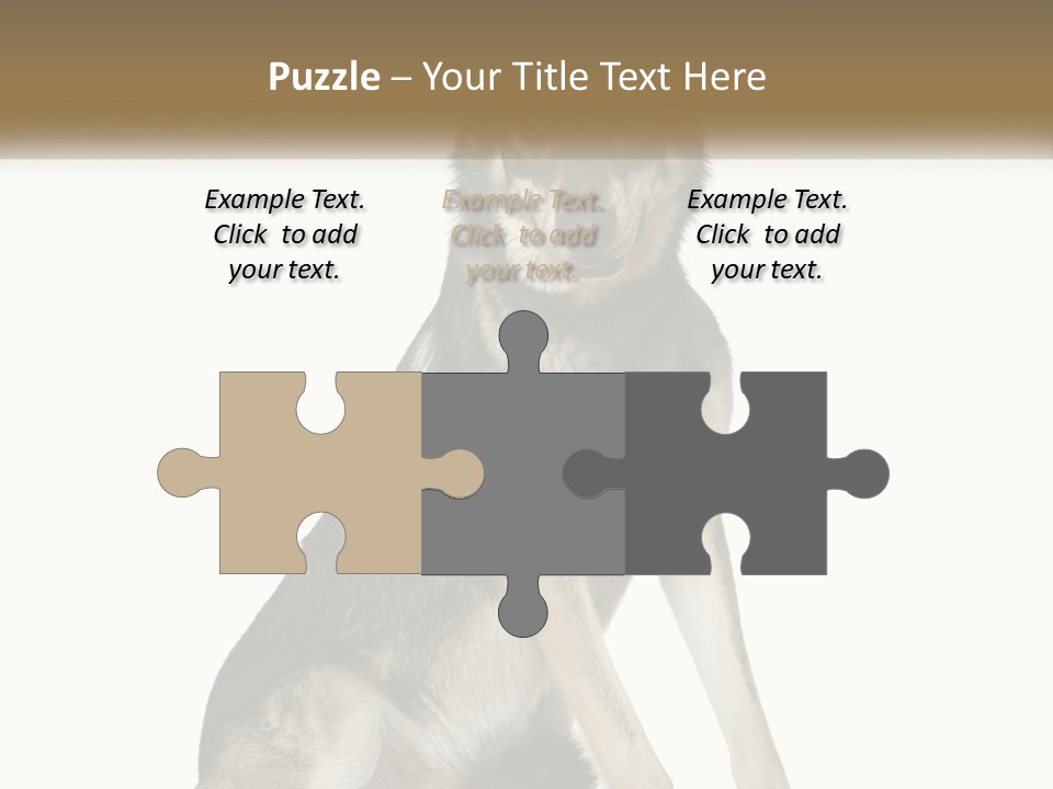 A Dog Sitting Down With A White Background PowerPoint Template