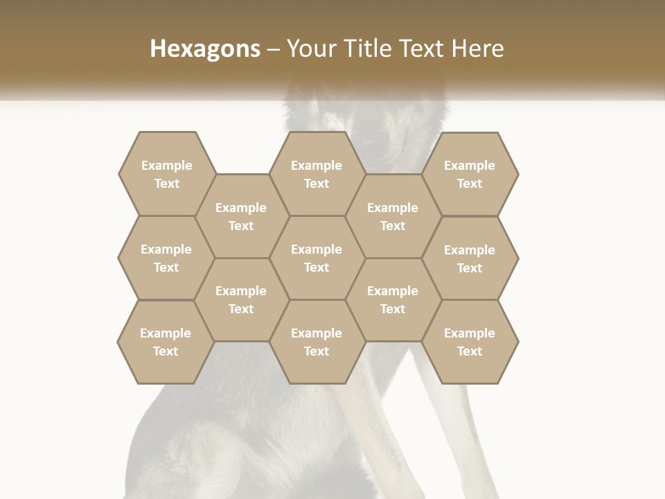 A Dog Sitting Down With A White Background PowerPoint Template