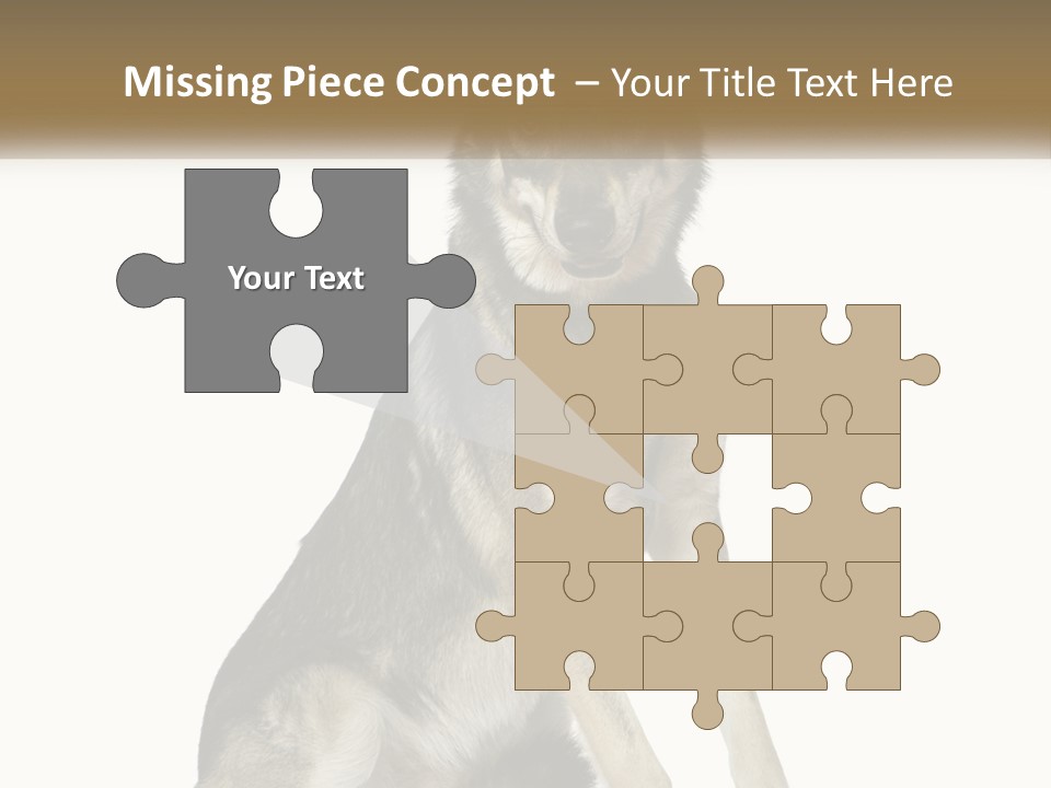 A Dog Sitting Down With A White Background PowerPoint Template