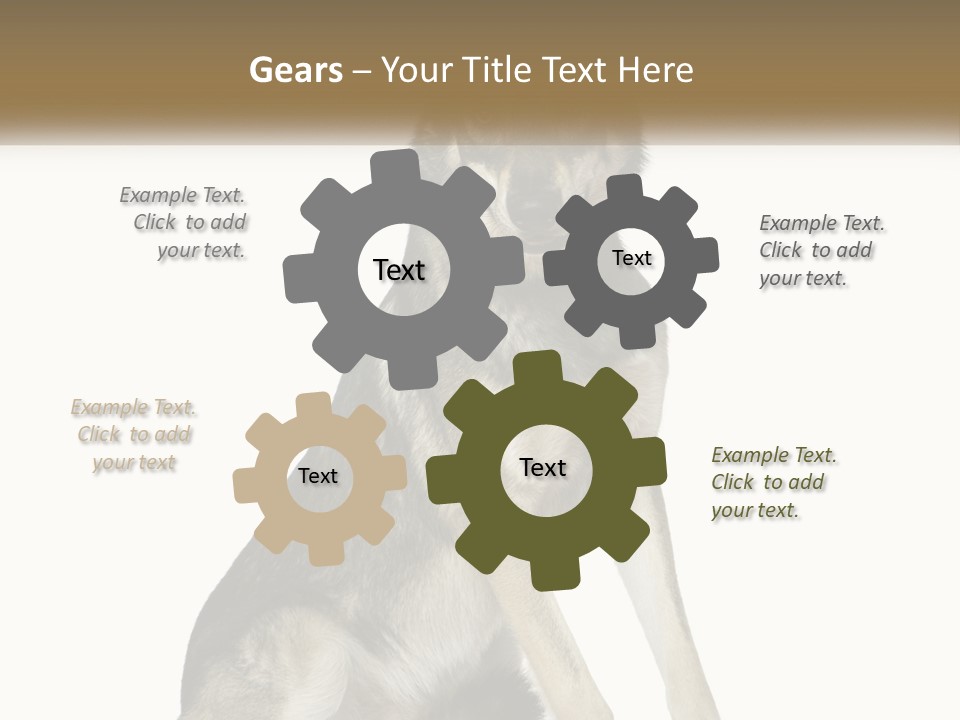 A Dog Sitting Down With A White Background PowerPoint Template