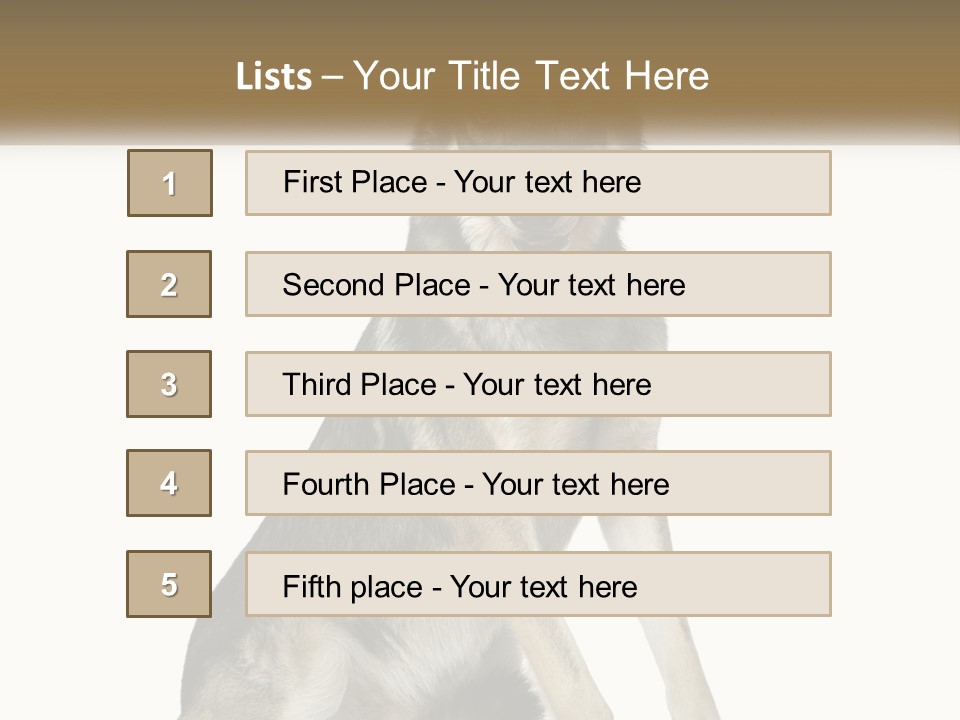 A Dog Sitting Down With A White Background PowerPoint Template