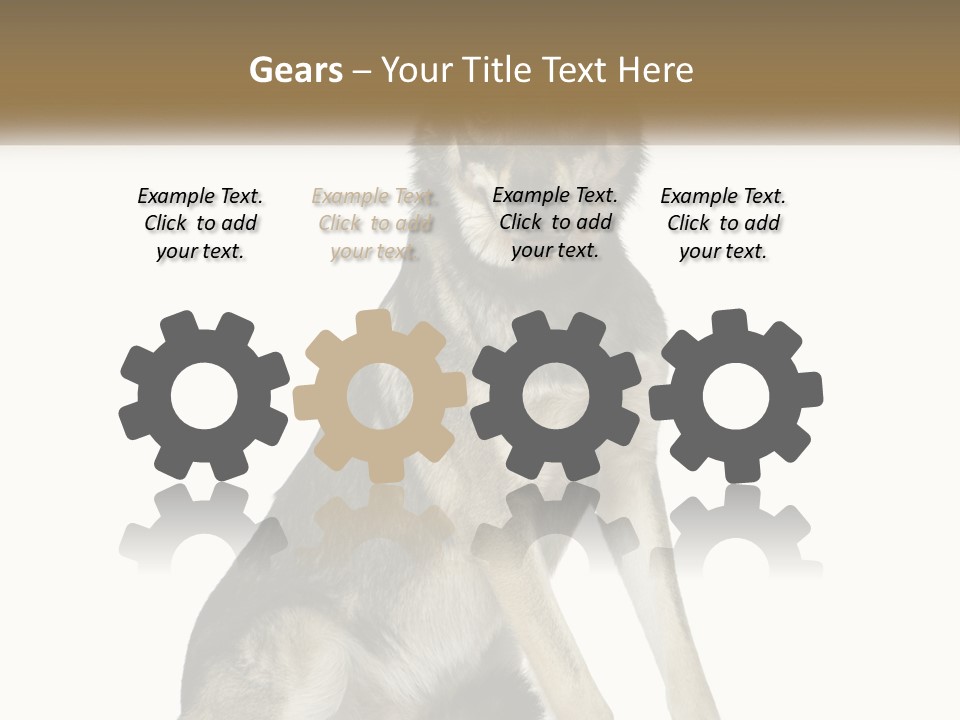 A Dog Sitting Down With A White Background PowerPoint Template