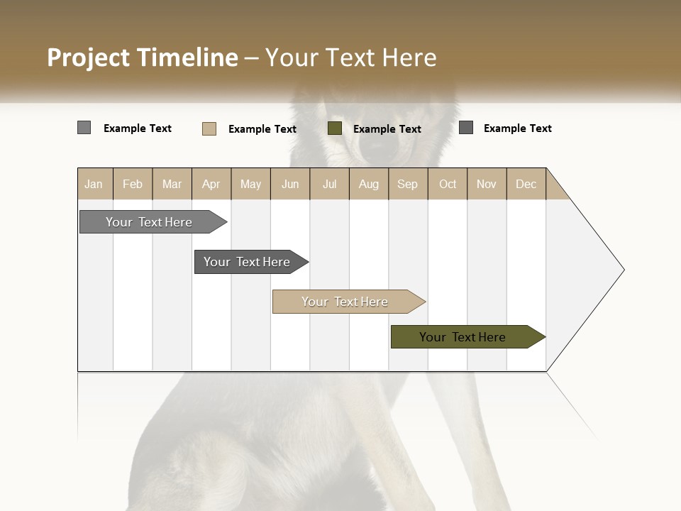 A Dog Sitting Down With A White Background PowerPoint Template