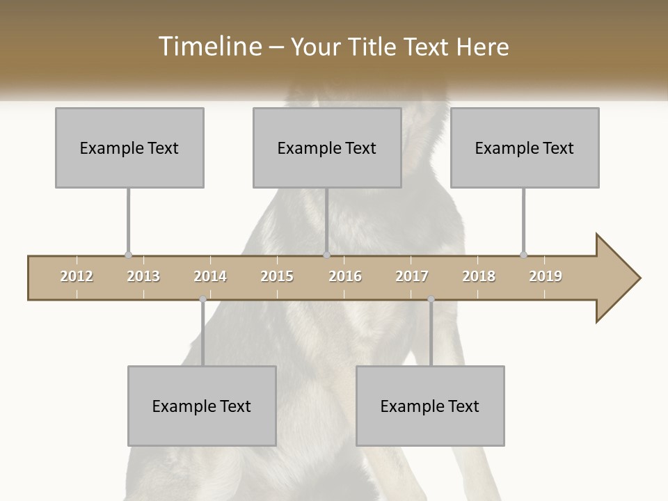 A Dog Sitting Down With A White Background PowerPoint Template