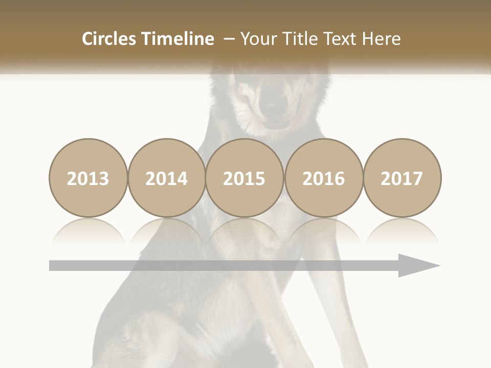 A Dog Sitting Down With A White Background PowerPoint Template