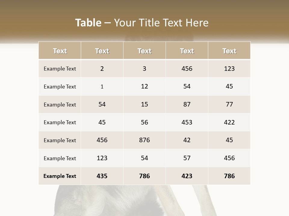 A Dog Sitting Down With A White Background PowerPoint Template