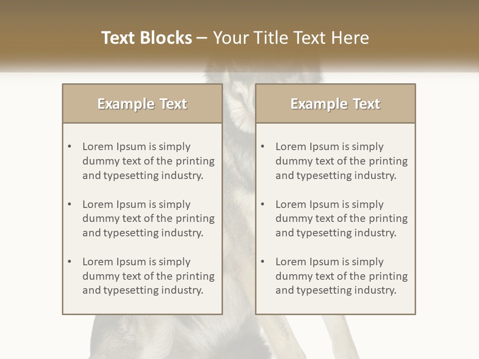 A Dog Sitting Down With A White Background PowerPoint Template