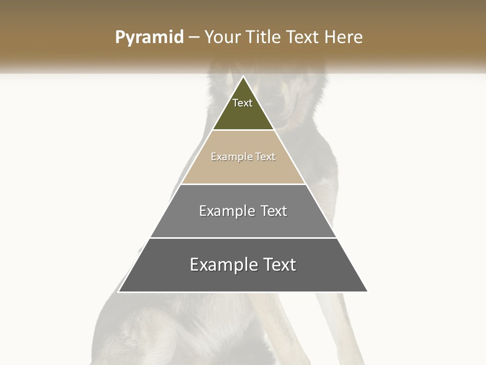 A Dog Sitting Down With A White Background PowerPoint Template