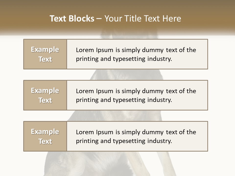 A Dog Sitting Down With A White Background PowerPoint Template