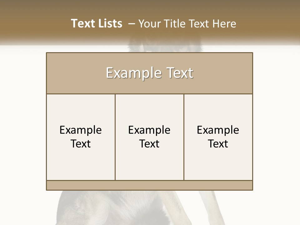 A Dog Sitting Down With A White Background PowerPoint Template