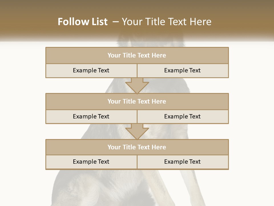 A Dog Sitting Down With A White Background PowerPoint Template