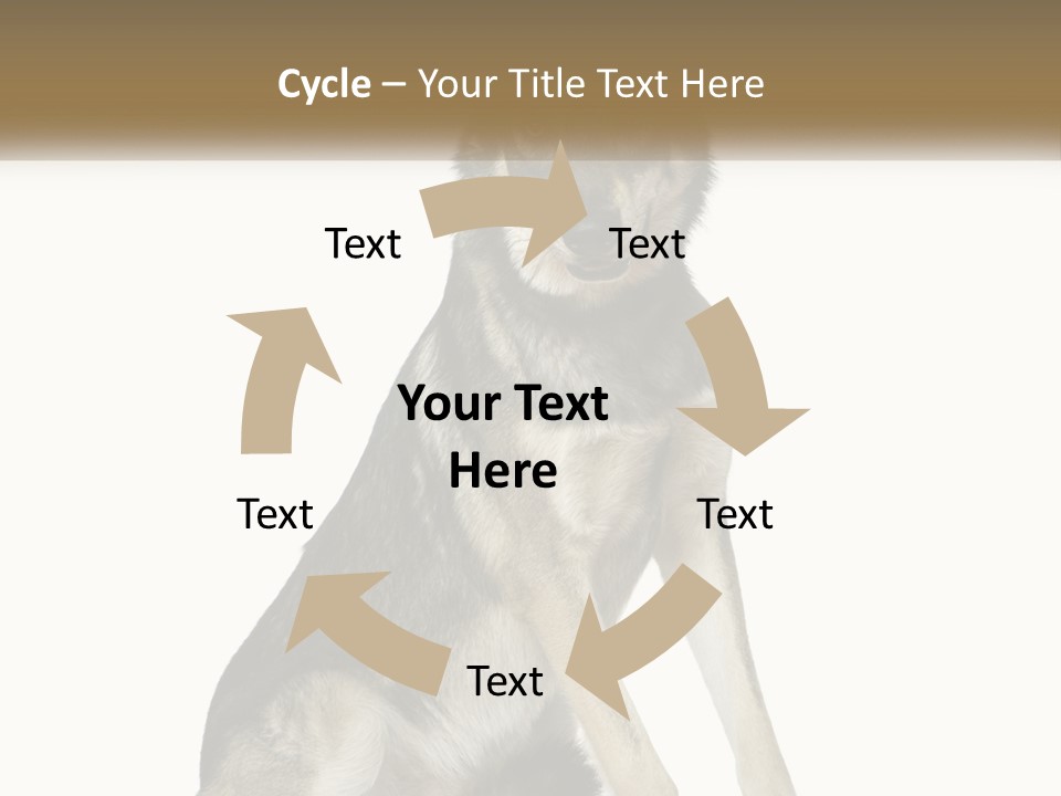 A Dog Sitting Down With A White Background PowerPoint Template