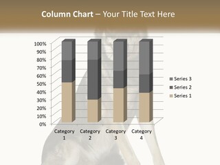 A Dog Sitting Down With A White Background PowerPoint Template