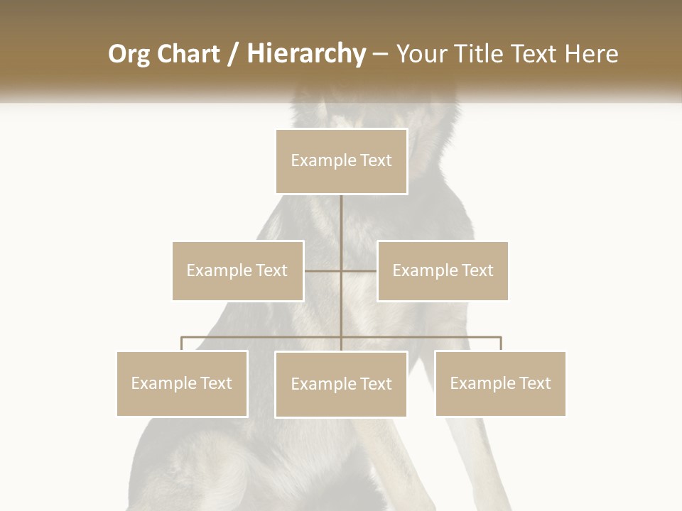 A Dog Sitting Down With A White Background PowerPoint Template