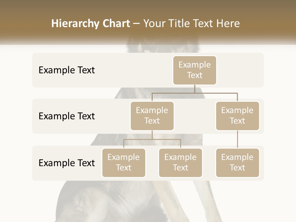 A Dog Sitting Down With A White Background PowerPoint Template
