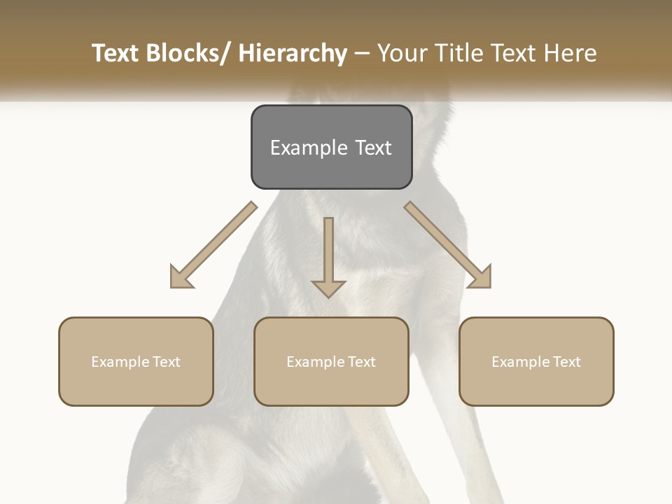 A Dog Sitting Down With A White Background PowerPoint Template