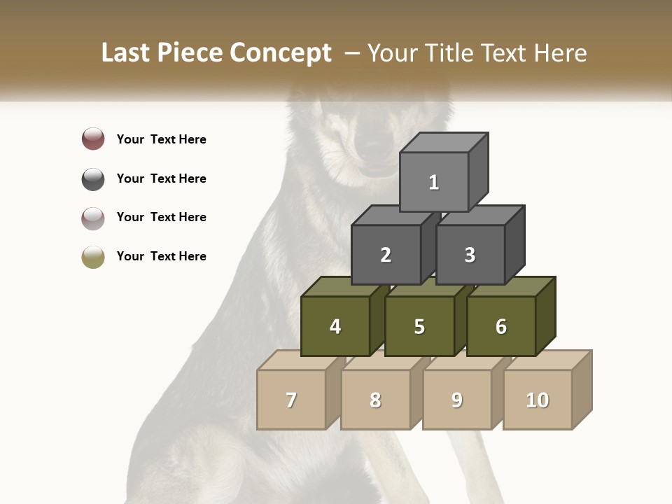 A Dog Sitting Down With A White Background PowerPoint Template