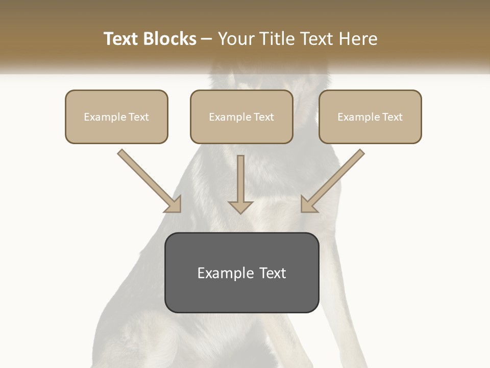 A Dog Sitting Down With A White Background PowerPoint Template