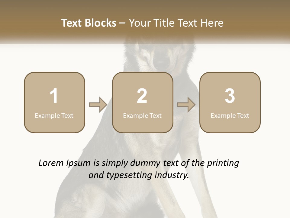 A Dog Sitting Down With A White Background PowerPoint Template