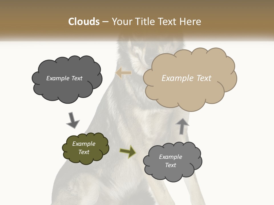 A Dog Sitting Down With A White Background PowerPoint Template