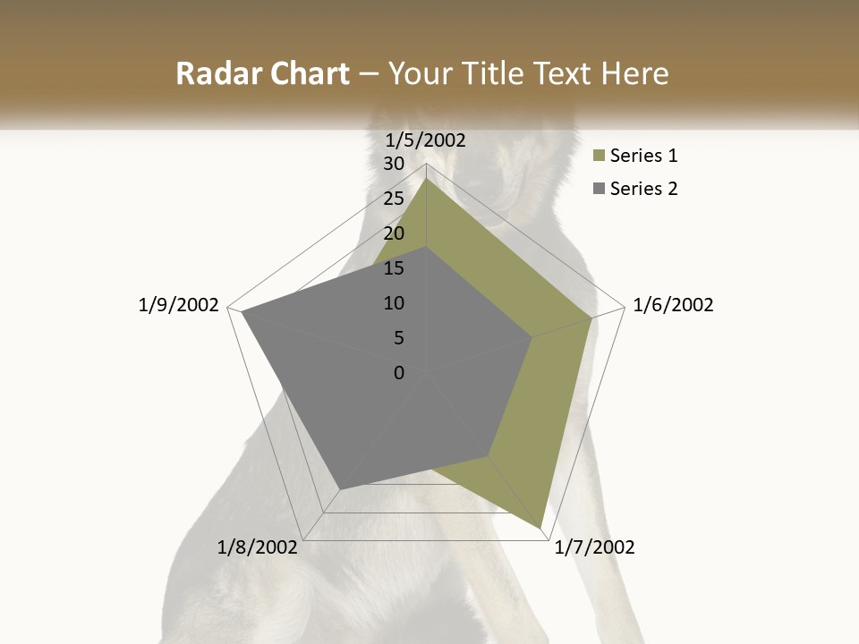 A Dog Sitting Down With A White Background PowerPoint Template