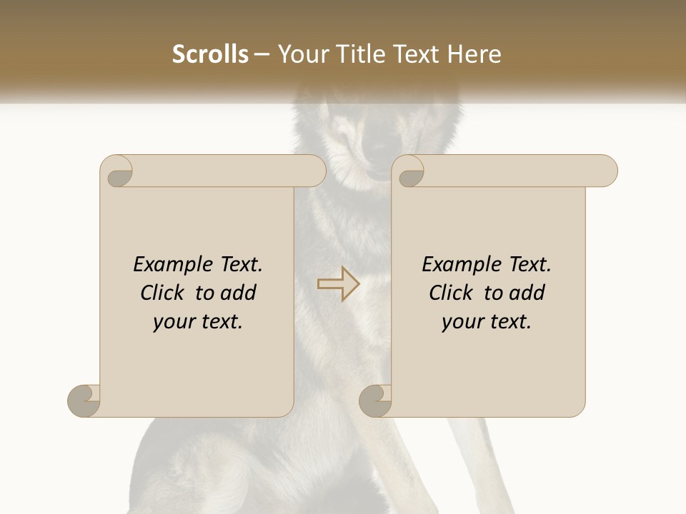 A Dog Sitting Down With A White Background PowerPoint Template