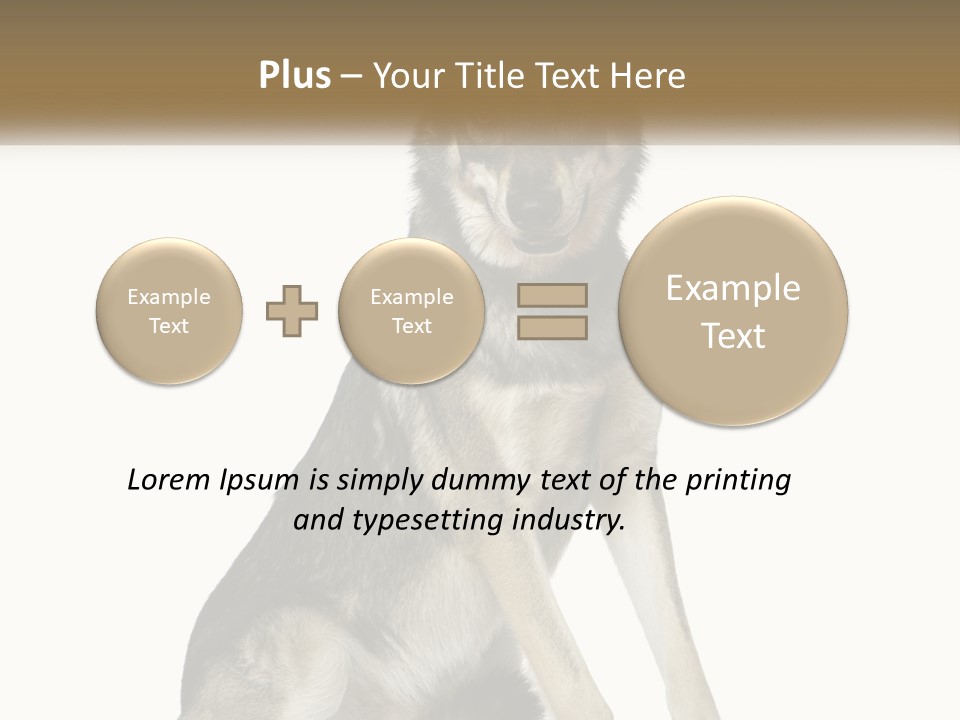 A Dog Sitting Down With A White Background PowerPoint Template