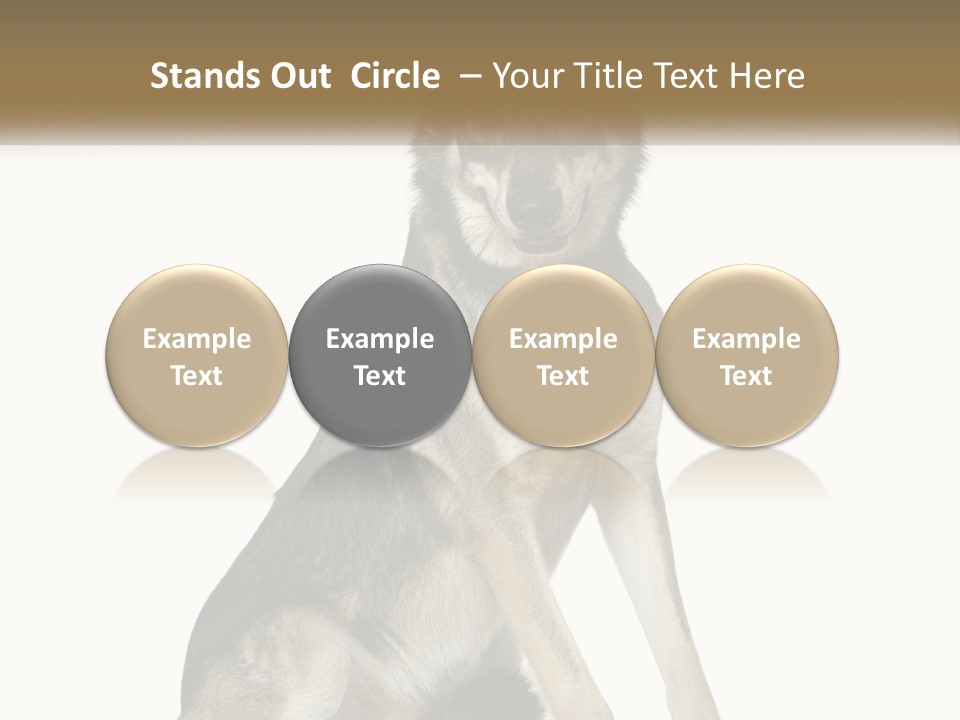 A Dog Sitting Down With A White Background PowerPoint Template