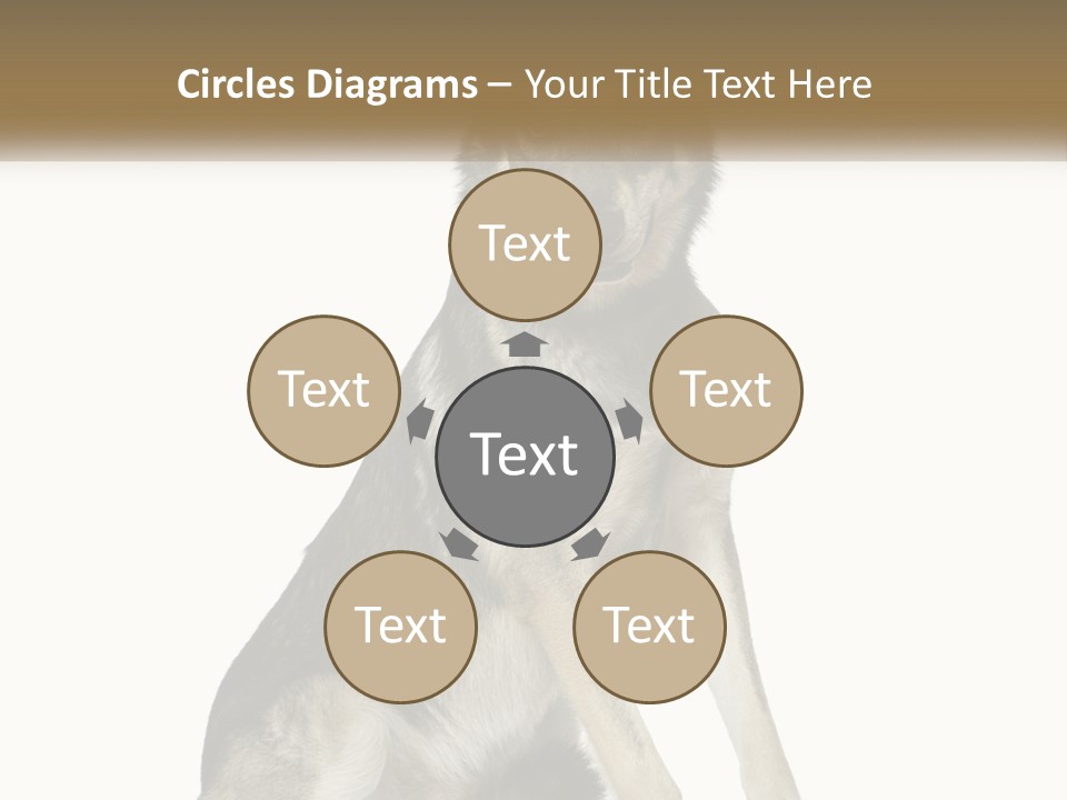 A Dog Sitting Down With A White Background PowerPoint Template