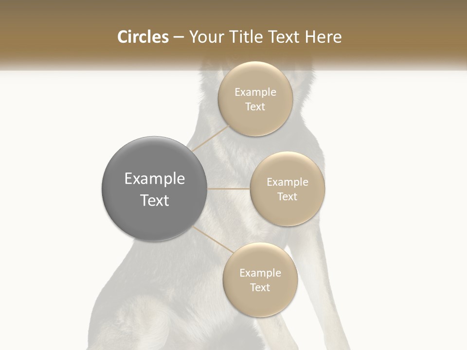 A Dog Sitting Down With A White Background PowerPoint Template