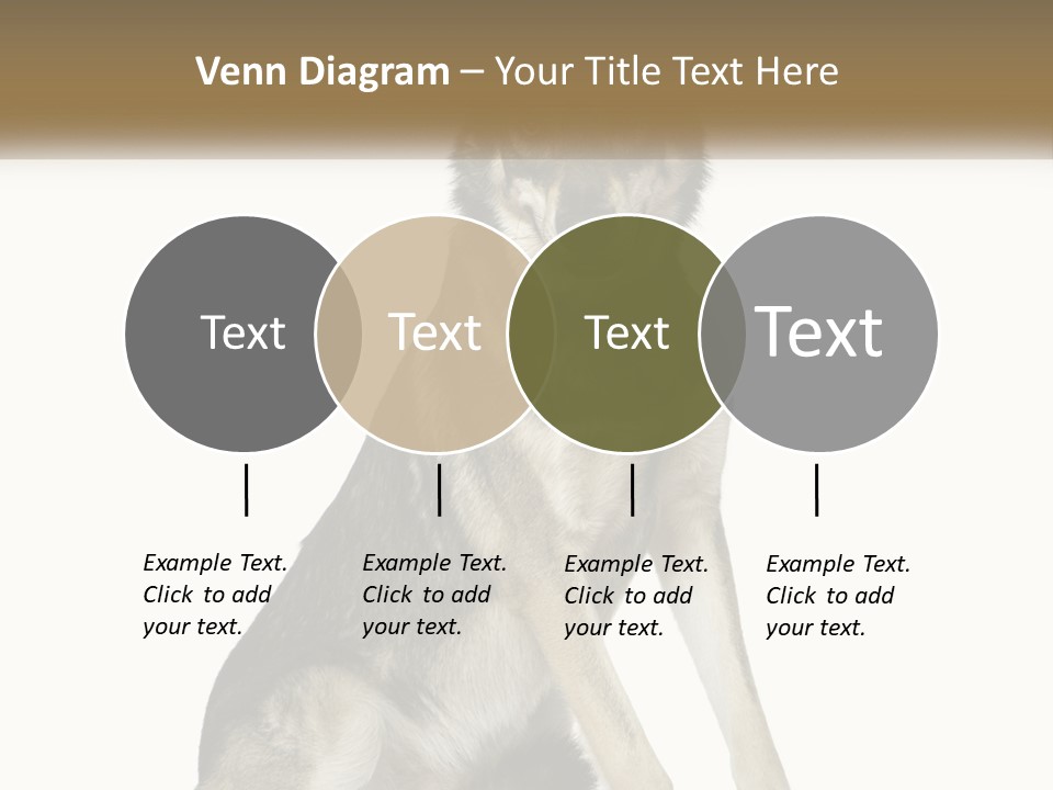 A Dog Sitting Down With A White Background PowerPoint Template