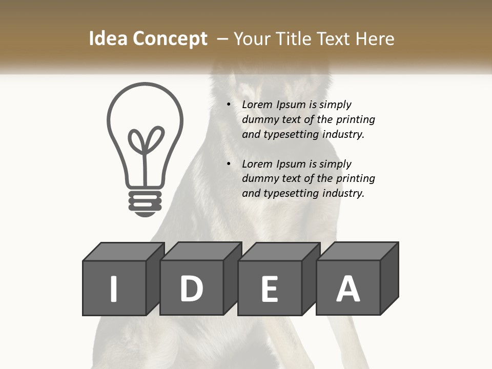 A Dog Sitting Down With A White Background PowerPoint Template