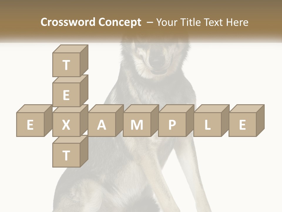 A Dog Sitting Down With A White Background PowerPoint Template