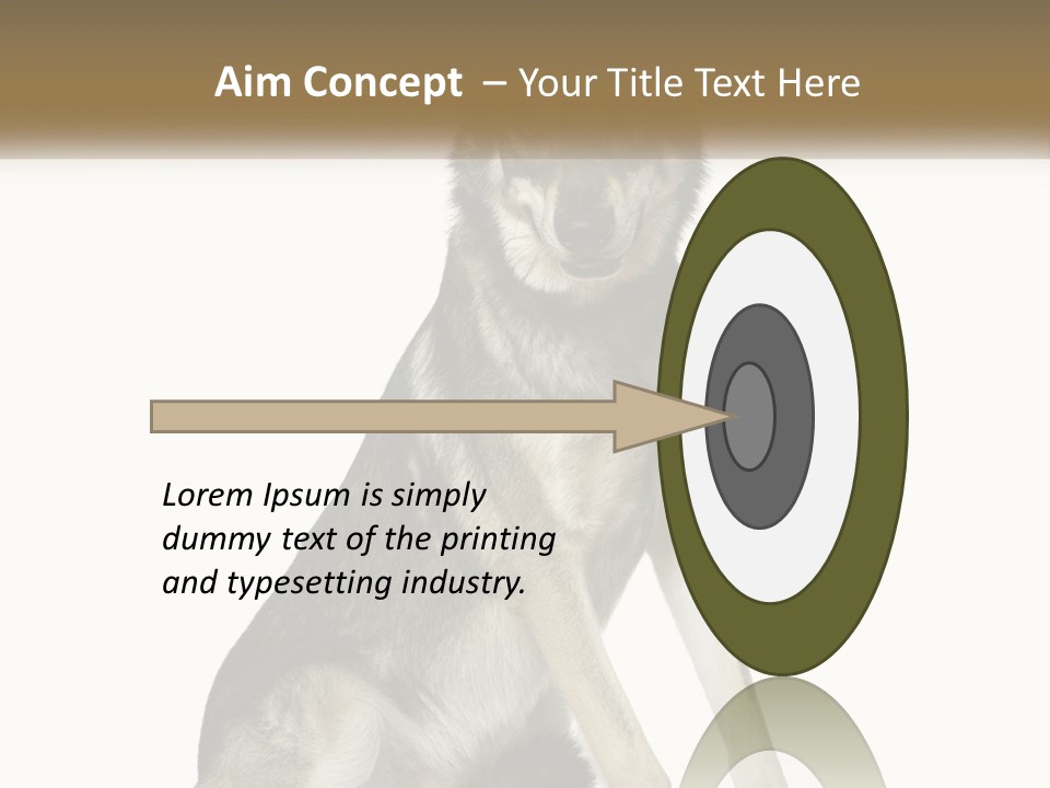 A Dog Sitting Down With A White Background PowerPoint Template