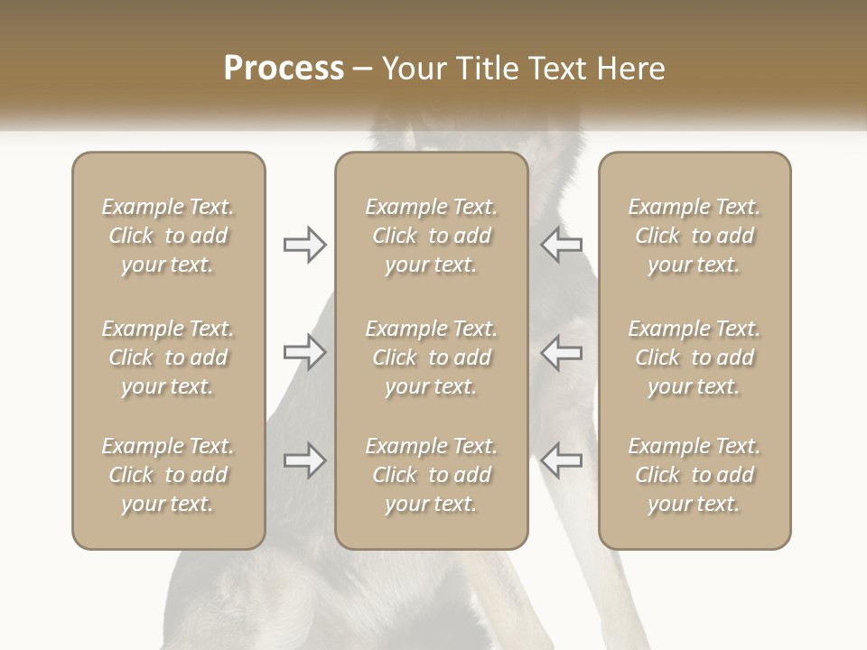 A Dog Sitting Down With A White Background PowerPoint Template