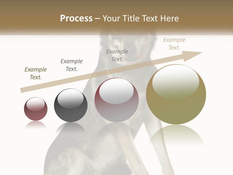 A Dog Sitting Down With A White Background PowerPoint Template