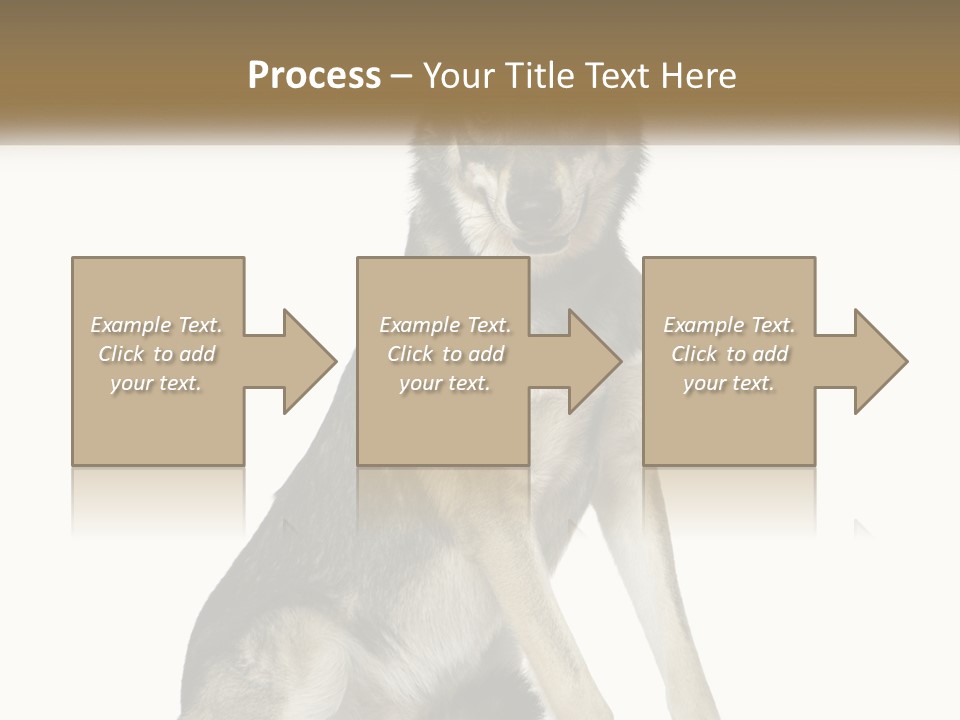 A Dog Sitting Down With A White Background PowerPoint Template