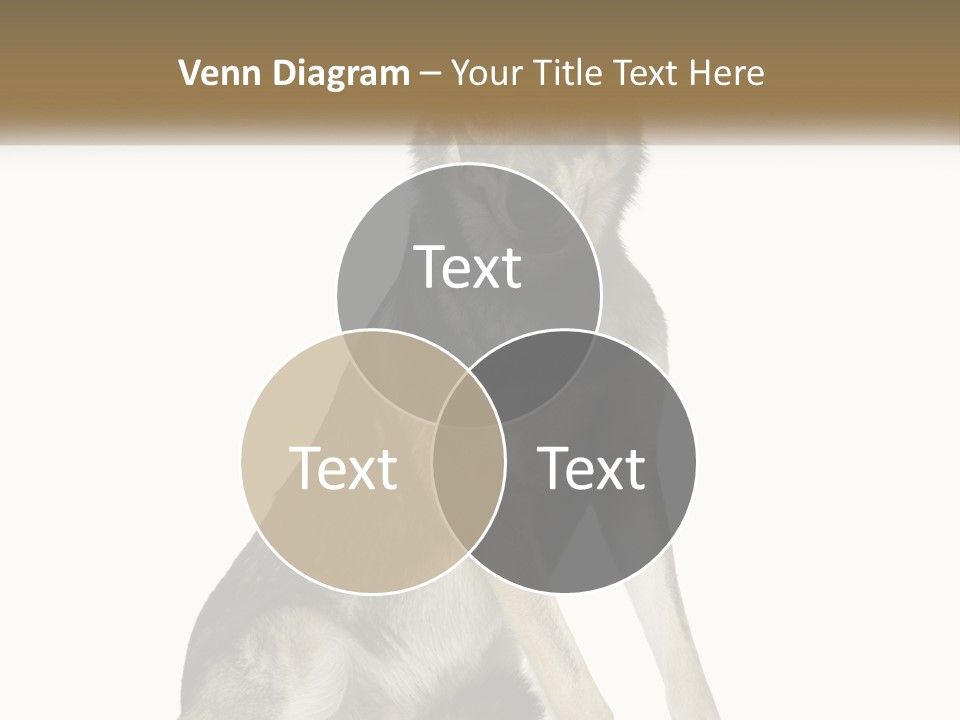 A Dog Sitting Down With A White Background PowerPoint Template