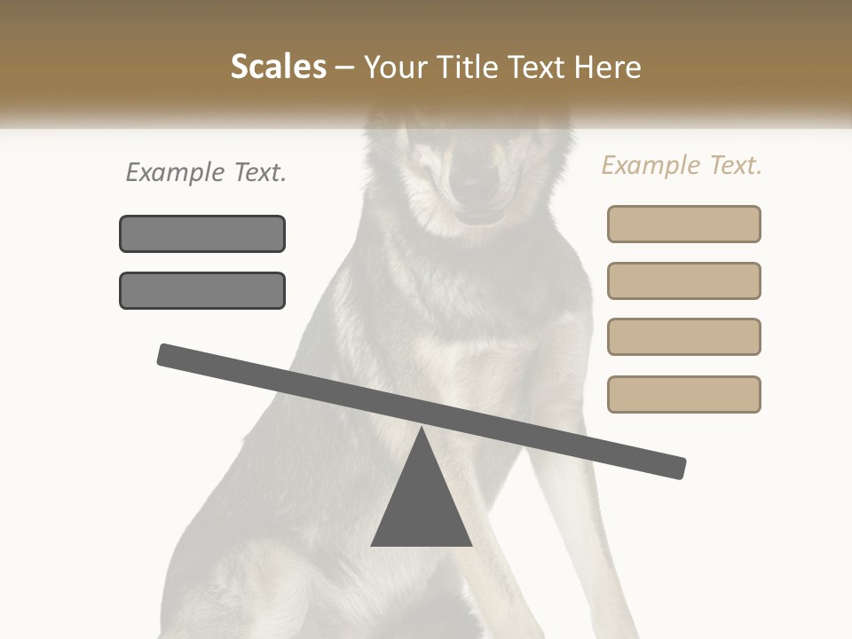 A Dog Sitting Down With A White Background PowerPoint Template